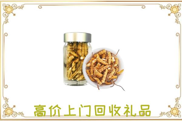 禄劝周边回收虫草